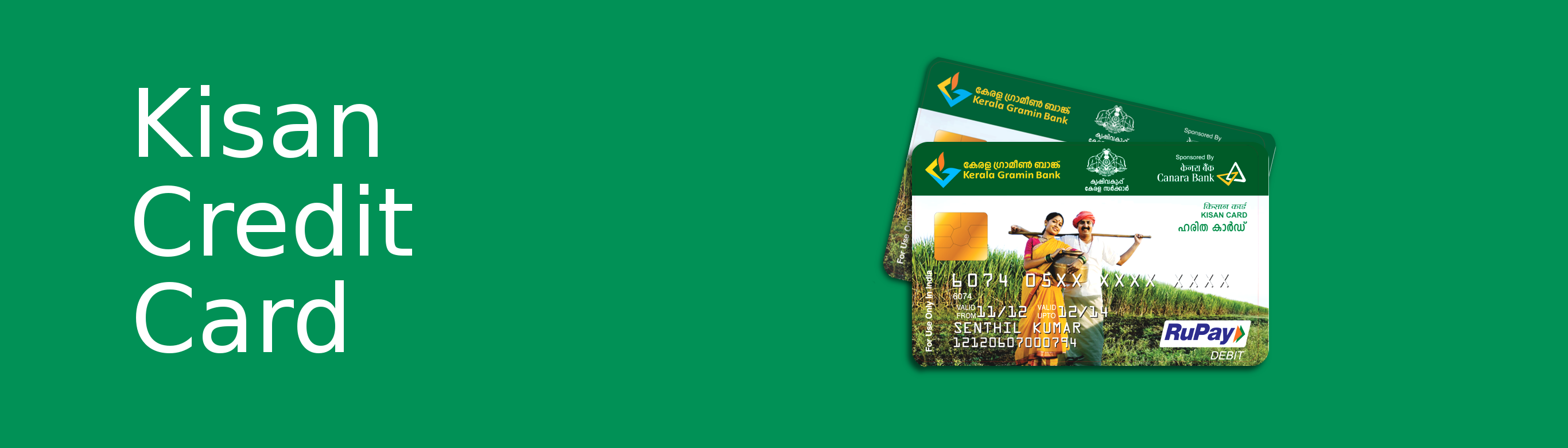 Kisan Credit Card: Know The Basic Rules, Benefits, Insurance Scheme And