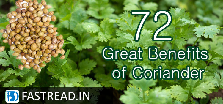 72 Great Benefits of Coriander and Its Celestial Medicinal Experiments