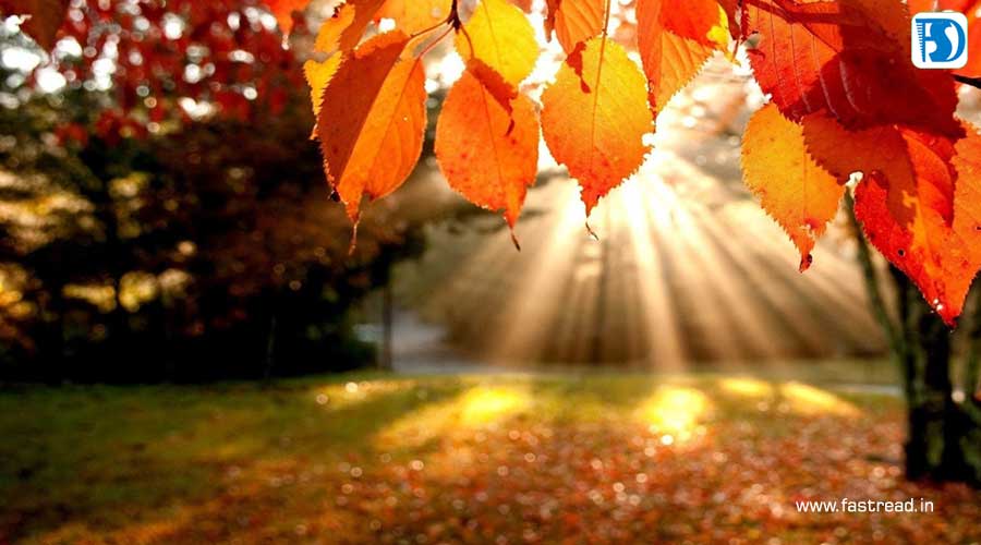Essay on Autumn in English in Very Simple Words for Kids