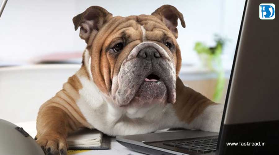 Take Your Dog to Work Day - June 22 - FastRead.in