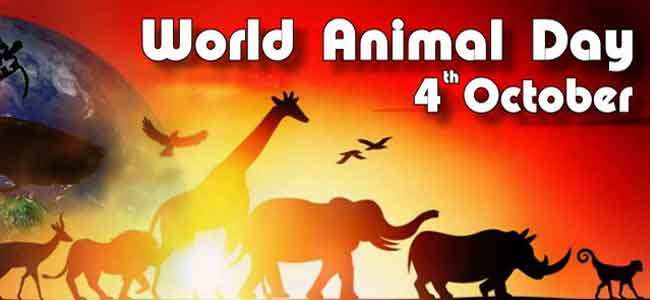 World Animal Day : 4th October