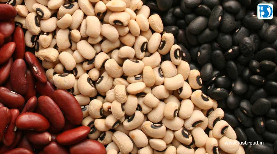 National Eat Your Beans Day - July 3 - FastRead.in