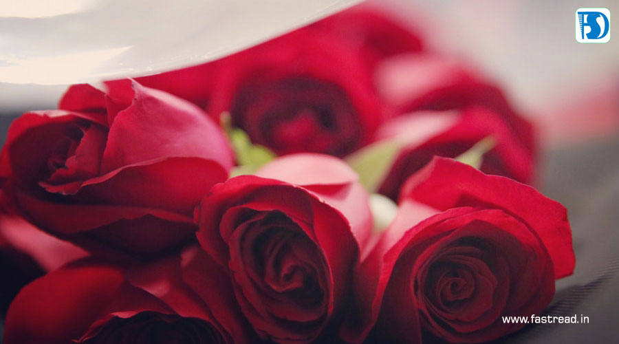 National Red Rose Day - June 12 - FastRead.in