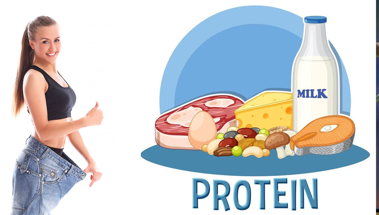 the-impact-of-protein-on-weight-loss-wellhealthorganic-fastread-news